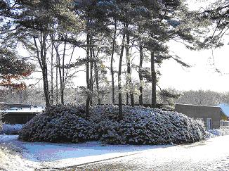 museum in de winter